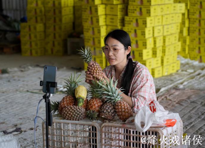 菠萝视频直播