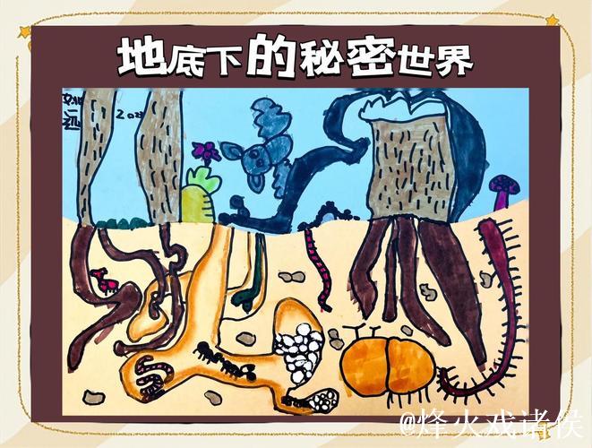 探索“蝌蚪网91窝”的神秘世界